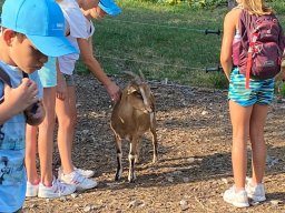 image1275